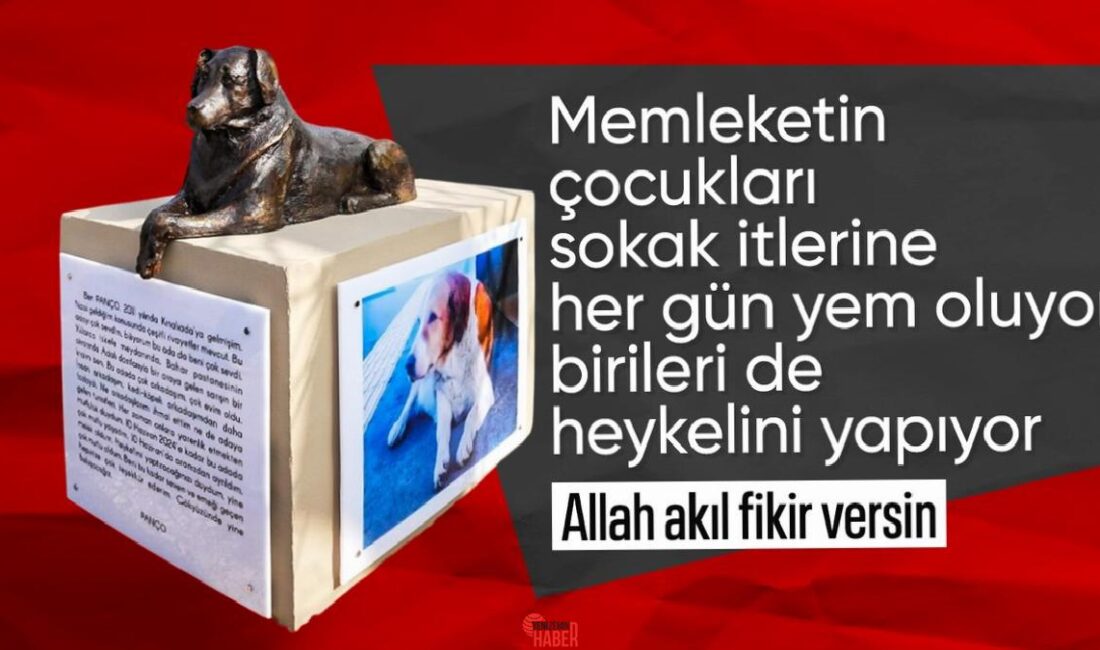 Sokak köpeklerinin taarruzlarıyla küçük çocuklar can verirken CHP'li Adalar Belediyesi,