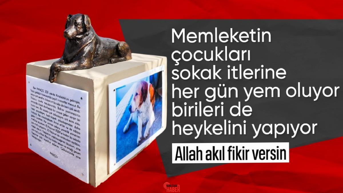 Sokak köpeklerinin taarruzlarıyla küçük çocuklar can verirken CHP'li Adalar Belediyesi,
