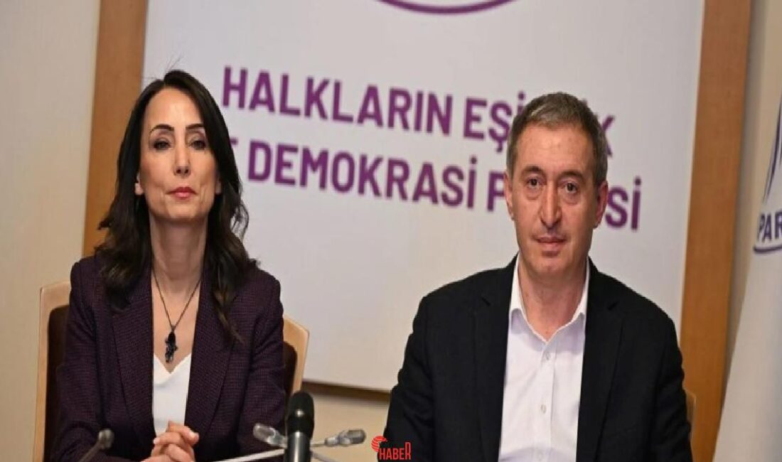 Haber Merkezi DEM Parti heyeti, ikinci siyasi parti tiplerini tamamladı.