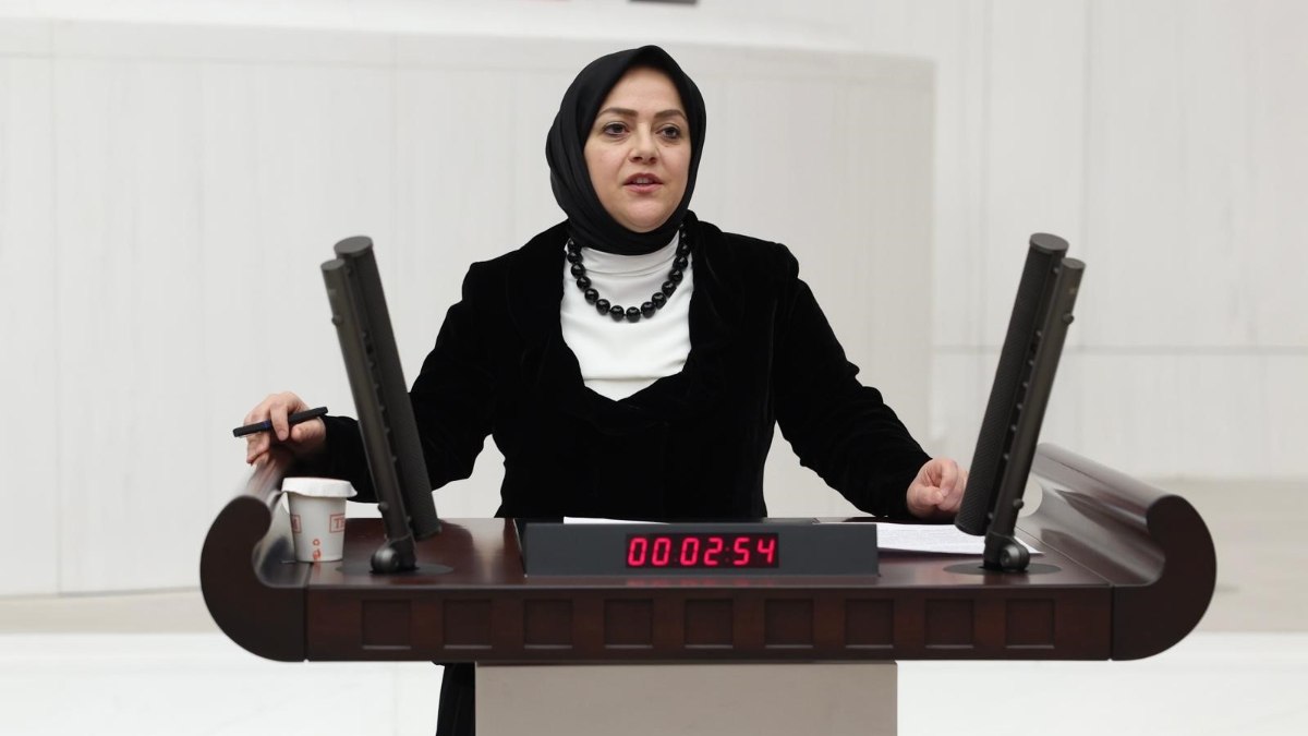 TÜBİTAK tarafından reddedilen projeleri tek tek sayan Denizli Milletvekili Sema