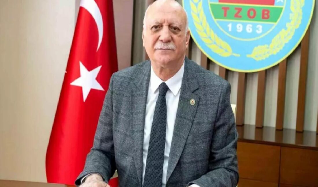 Ziraat Odaları Başkanı, don afetinin Adana, Mersin ve Hatay'da ziraî
