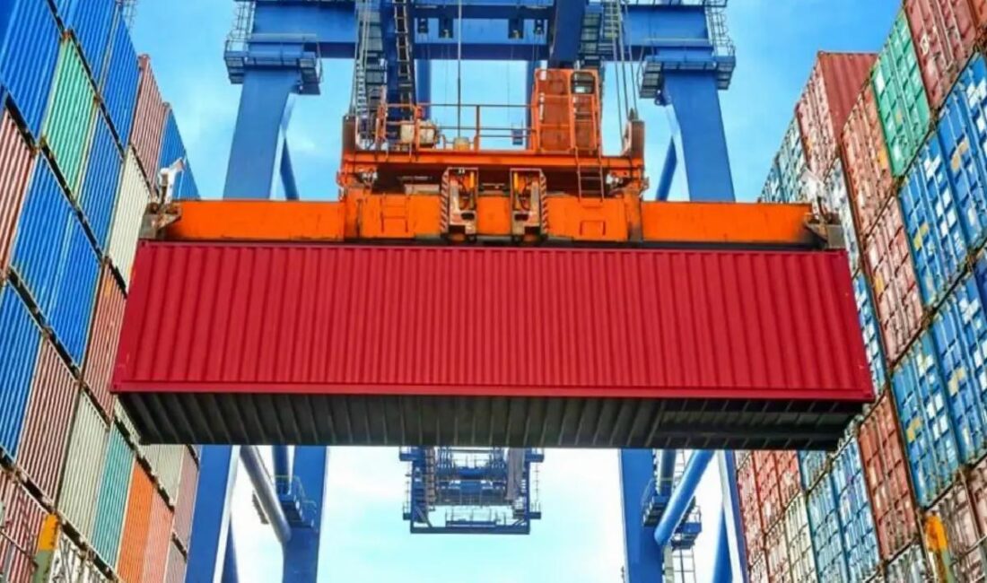 Düzce, 2024'te 5 bin 201 ton orman eseri ihraç etti.
