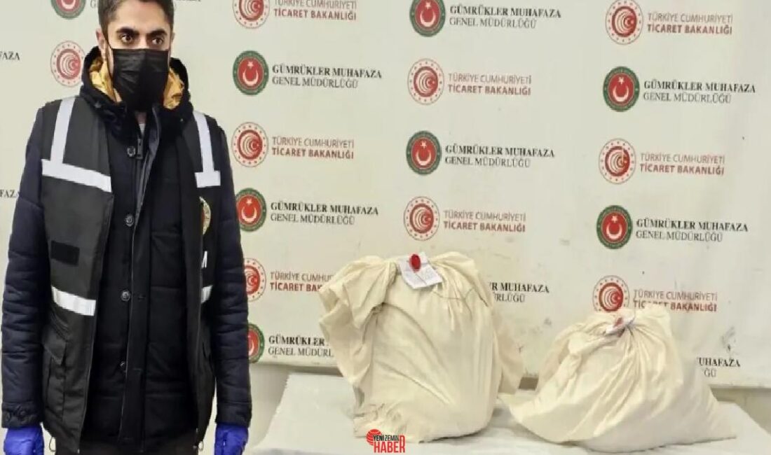 Kapıkule Hudut Kapısı'nda bir tırda yapılan aramada 44 kilo 306