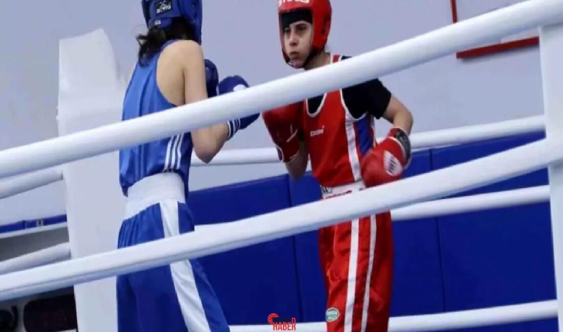 Gençler boks A-B karşılaşmaları Elazığ'da yapıldı, 70 sportmen bölge şampiyonasına