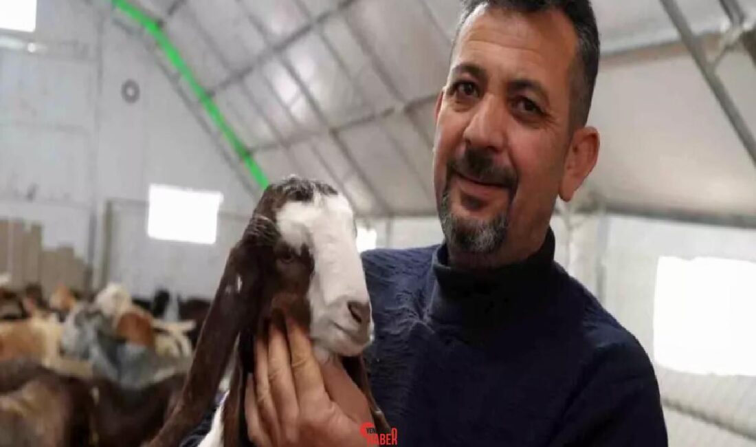Dursun Kurnaz, emekli olduktan sonra Kırıkkale'de Halep keçisi yetiştiriciliğine başladı.