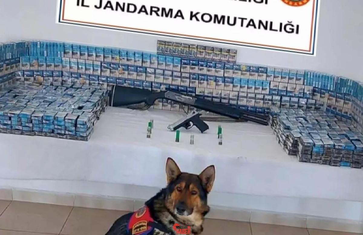 Jandarma, Erzurum'da 12 şüpheliyi yakalayarak kaçakçılık gereçleri ele geçirdi.