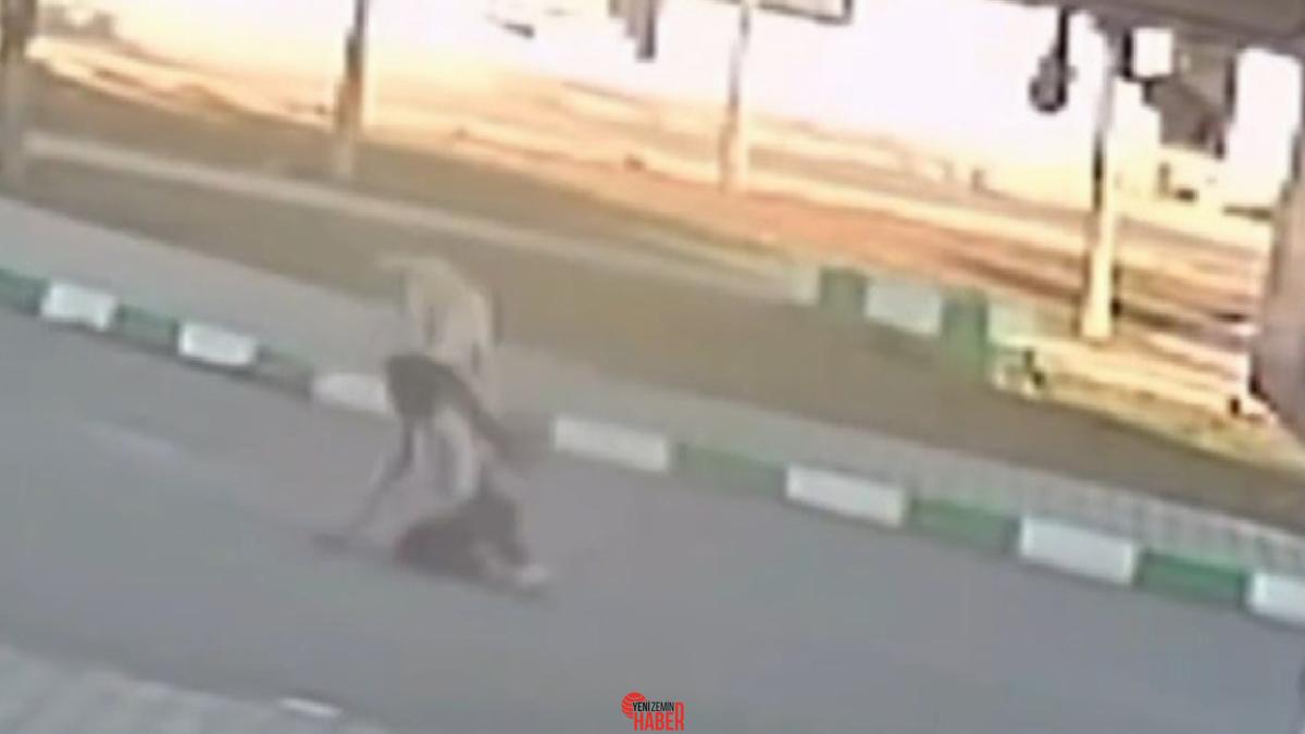 Nizip ilçesinde okula gitmek için yola çıkan 3 kız çocuğu,