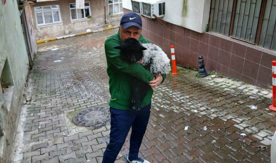 Annesinin teklifiyle köpek yerine kuzu sahiplenen 46 yaşındaki pazarcı esnafı