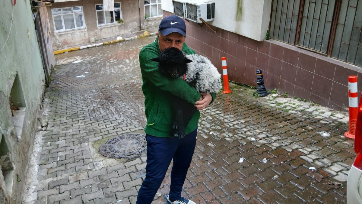Annesinin teklifiyle köpek yerine kuzu sahiplenen 46 yaşındaki pazarcı esnafı