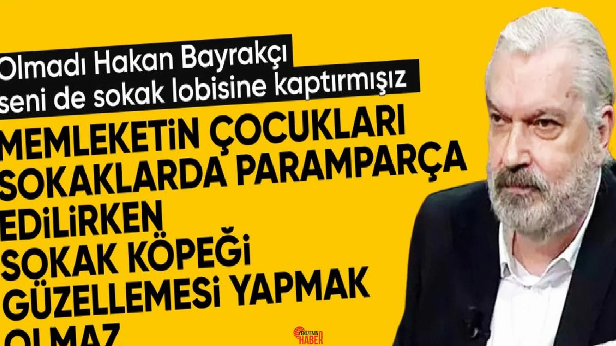 Başıboş sokak köpeklerini savunan SONAR Araştırma Başkanı Hakan Bayrakçı, toplatılmasıyla