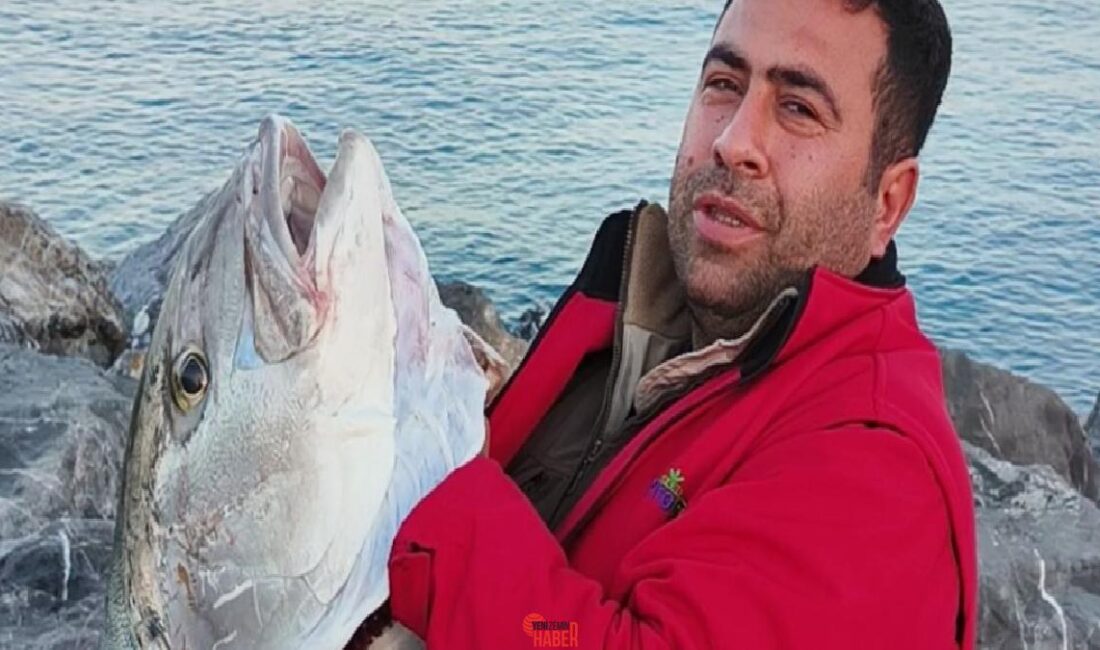 Dörtyol ilçesine bağlı İskenderun Körfezi’nde toplam 65 kiloluk iki adet