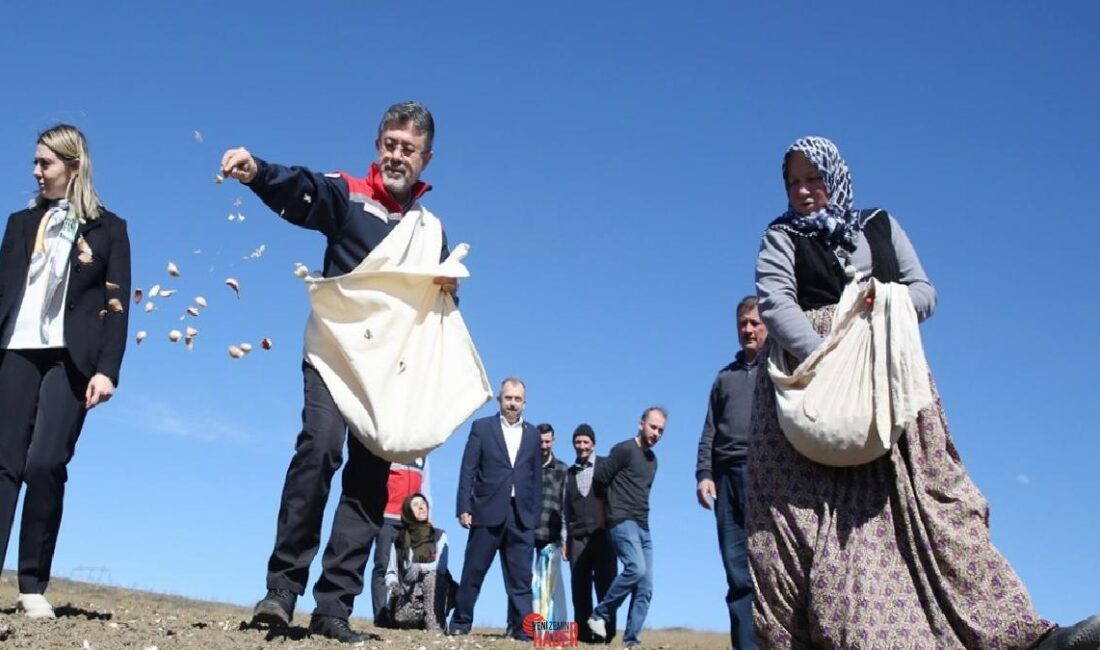 Tarım ve Orman Bakanı İbrahim Yumaklı, Kastamonu’nun Taşköprü ilçesinde tarlada