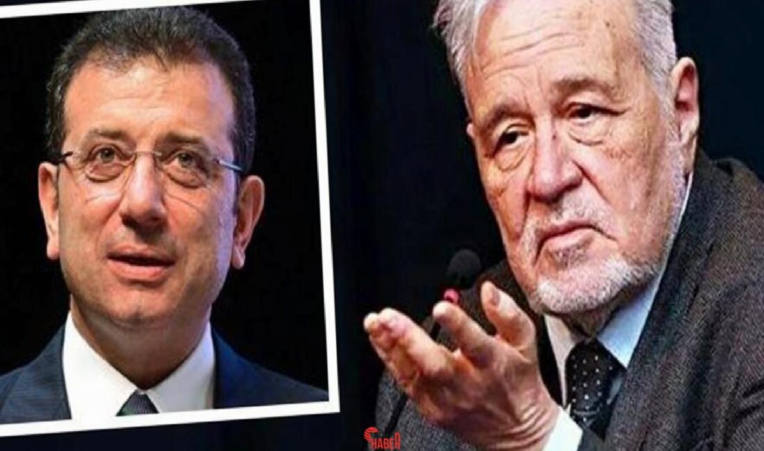 İmamoğlu'nun tutuklanmasıyla ilgili açıklama yapan Prof. Dr. İlber Ortaylı, "45
