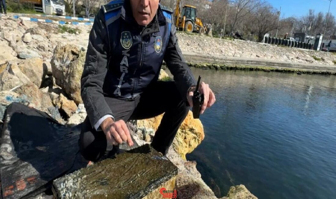 İstanbul Valiliği talimatıyla Avcılar kıyısında deniz tabanı paklığı gerçekleştirildi. Çalışma