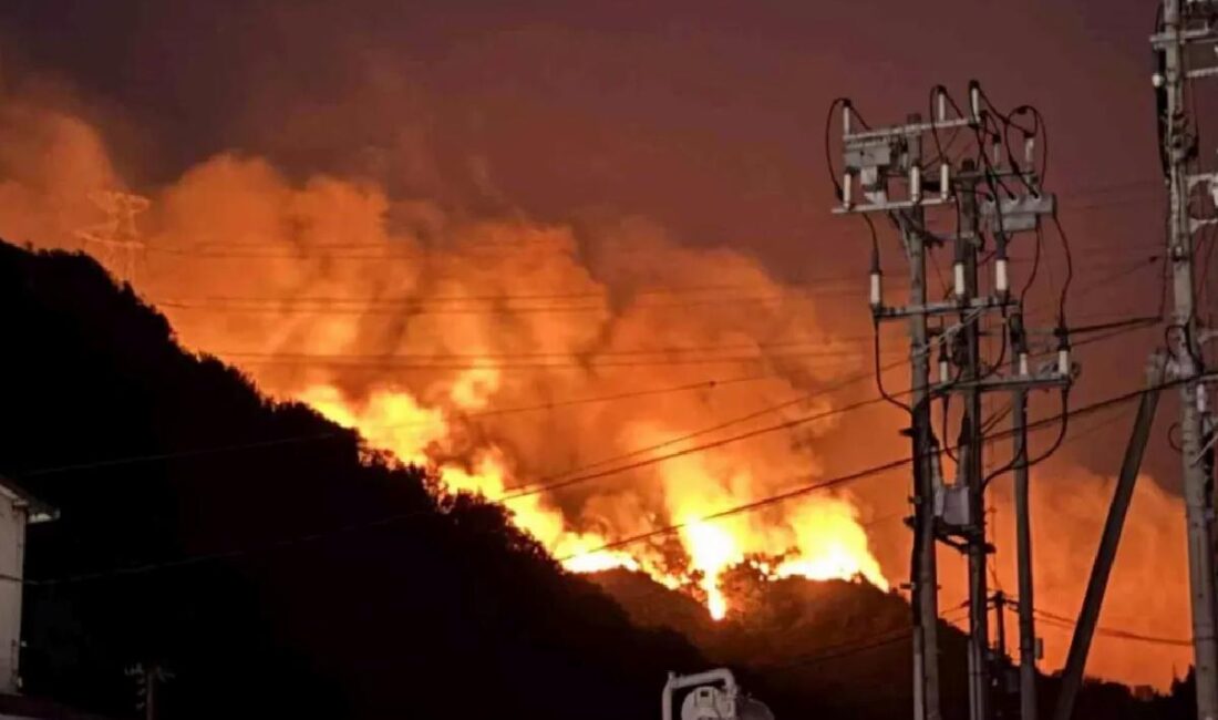 Okayama ve Ehime'de çıkan orman yangınları 893 kişiyi tehdit ediyor,
