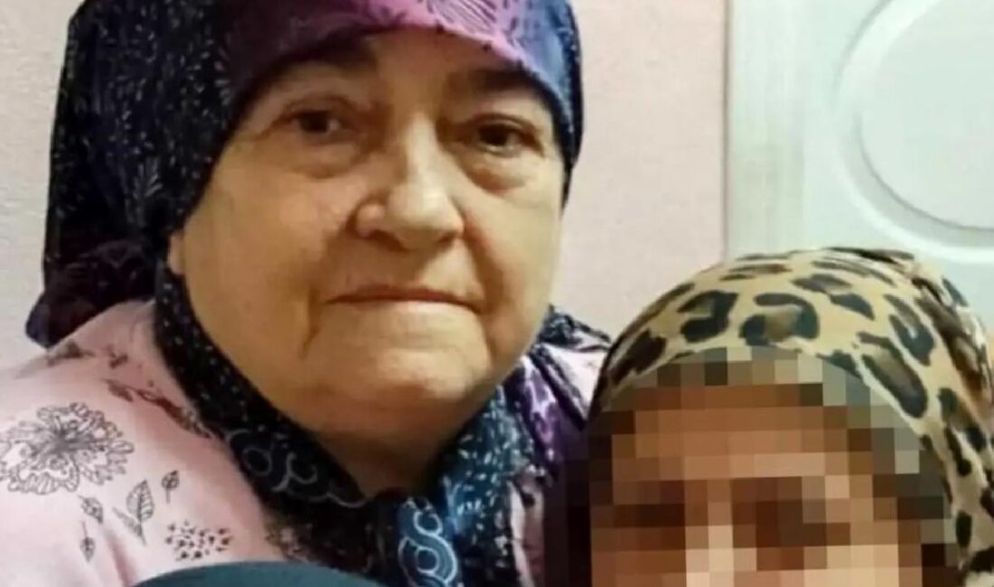 Kargı'da 77 yaşındaki bayan bıçaklanarak öldürüldü, damadı altınları çaldığını itiraf