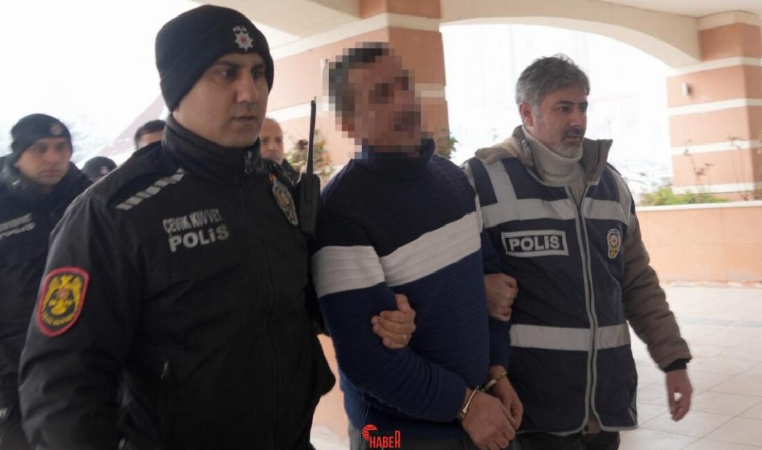 İHA Kastamonu'da yaşanan mezarlık cinayetinin sanıkları, hakim karşısına çıktı. Kırkçeşme