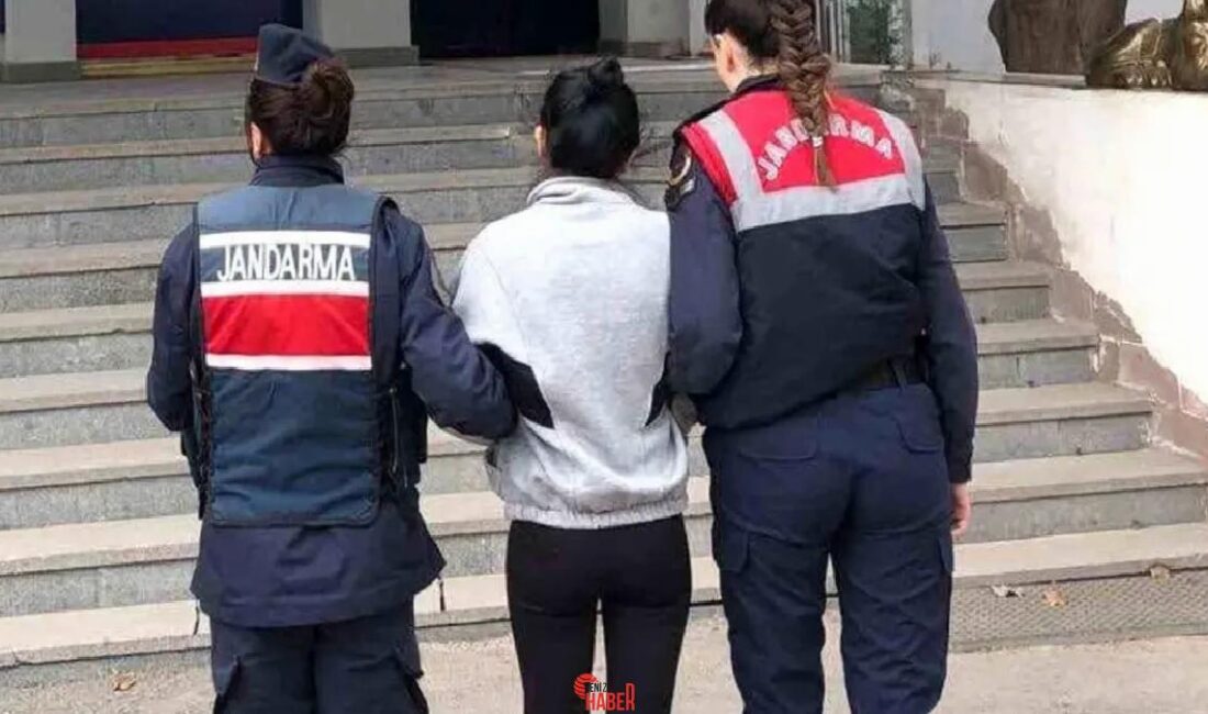 Jandarma, katılaşmış mahpus cezası olan 3 hükümlüyü operasyonla yakalayıp cezaevine