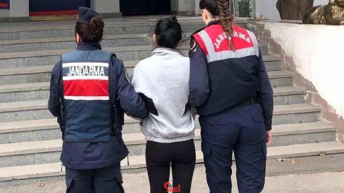 Jandarma, katılaşmış mahpus cezası olan 3 hükümlüyü operasyonla yakalayıp cezaevine