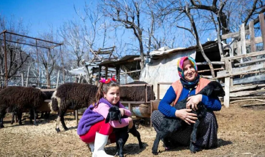 Mersin'de 'Hadi Gel Köyümüze Dayanak Verelim' projesi, kırsalda yaşayan vatandaşları