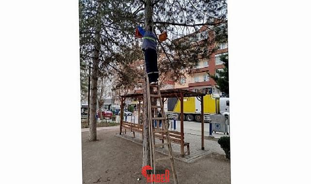 Kahramankazan Belediyesi Park ve Bahçeler Müdürlüğü grupları, ilçedeki parkları kuşlar