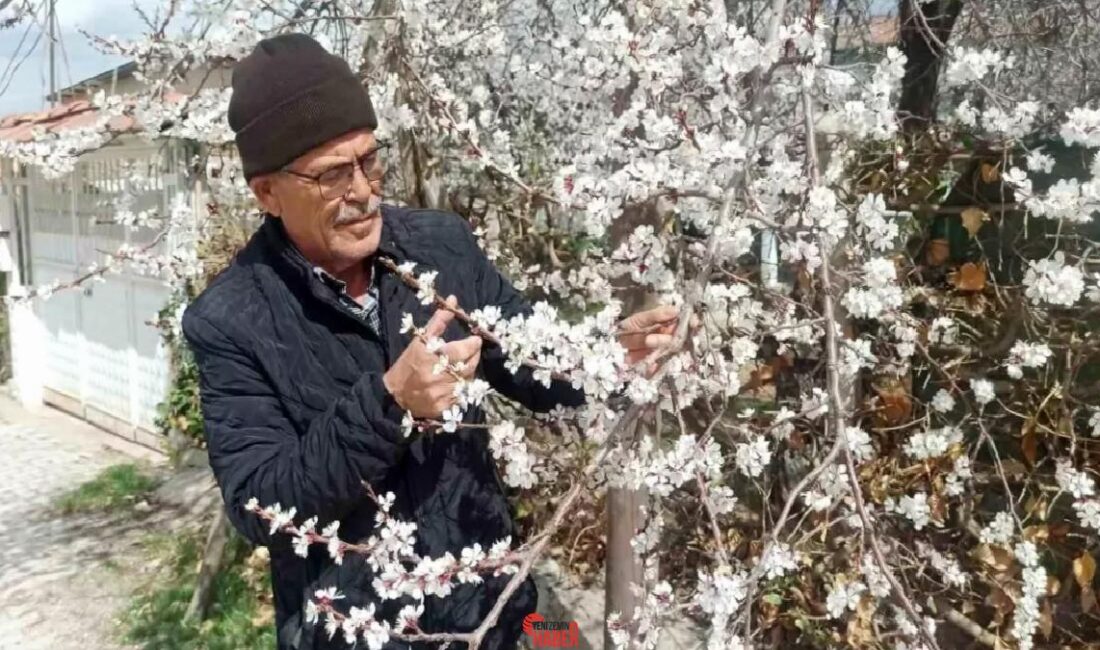 Malatya'da hava sıcaklıkları eksi 4 dereceye düşecek, kayısı ağaçları ziyan
