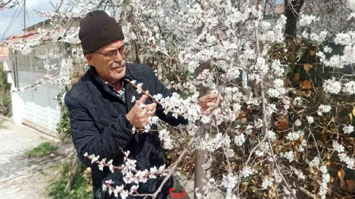 Malatya'da hava sıcaklıkları eksi 4 dereceye düşecek, kayısı ağaçları ziyan