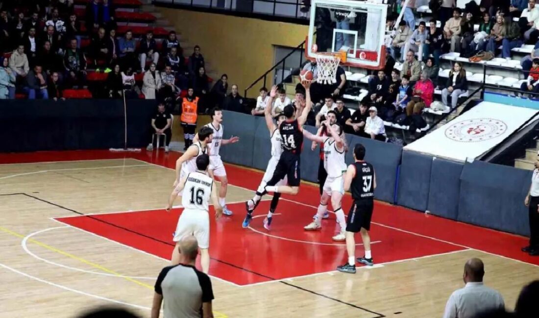 Sakarya Büyükşehir Belediyesi Basketbol ekibi, Türkiye Basketbol 2. Ligi Play-Off