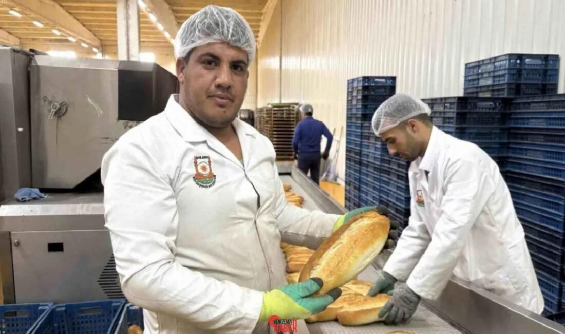 Şanlıurfa Büyükşehir Belediyesi, hijyenik koşullarda günde 60 bin ekmek üreterek