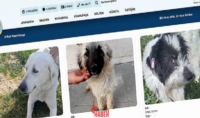 Kemalpaşa Belediyesi, sokakta yaşayan can dostlarının sahiplendirilmesini kolaylaştırmak ve onların