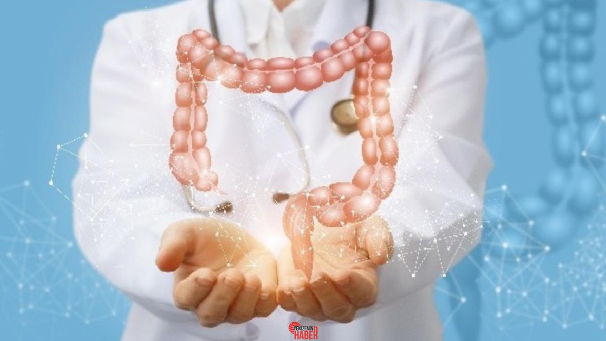 Sindirim sistemi ve ruh sıhhati ortasında kıymetli temaslar var. Kızgınsak,