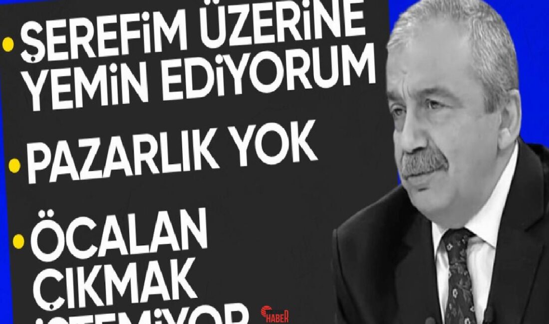 Katıldığı canlı yayın programında Öcalan'ın çağrısına ilişkin merak edilenleri yanıtlayan