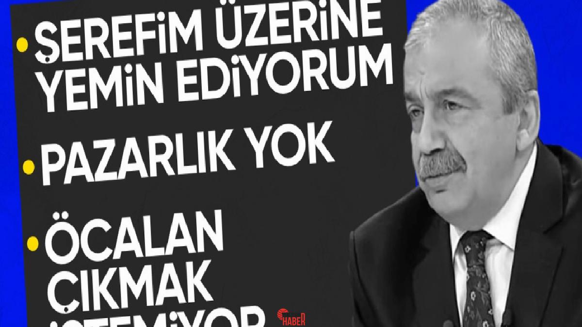Katıldığı canlı yayın programında Öcalan'ın çağrısına ilişkin merak edilenleri yanıtlayan