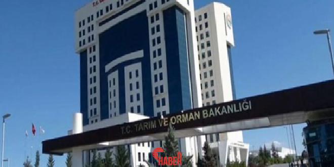 Tarım ve Orman Bakanlığı Taşra Teşkilatı Personelinin Yer Değiştirme Yönetmeliğinde