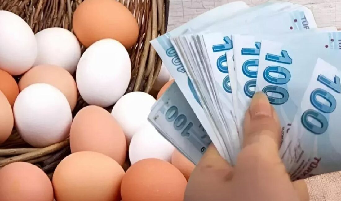 Cumhurbaşkanı Kararı ile sofralık yumurta ihracatında uygulanan fon kesintisi kilogramda