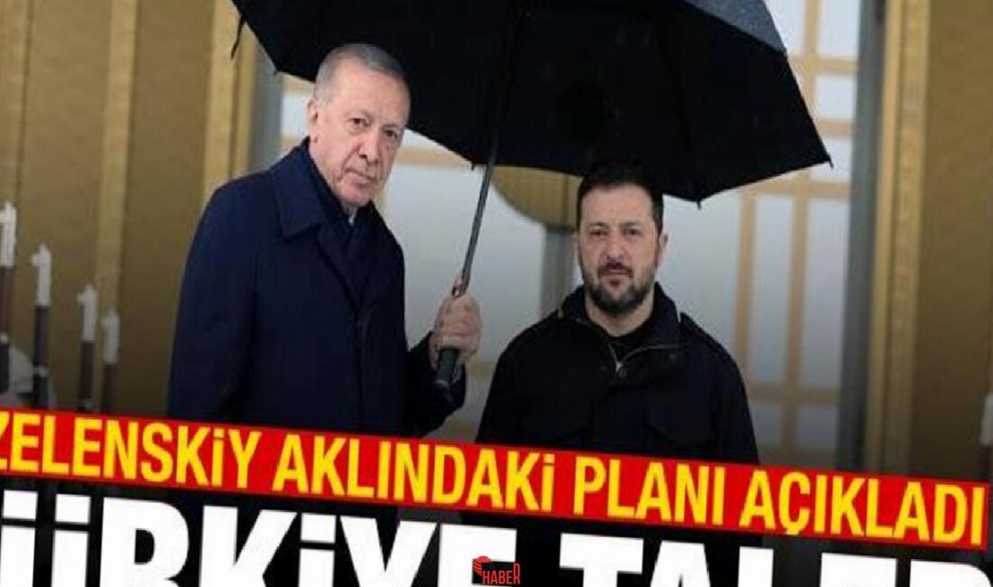 Ukrayna Devlet Başkanı Volodimir Zelenskiy, Karadeniz'de seyrüsefer güvenliğinin sağlanması için