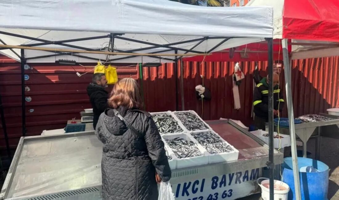 Zonguldak'ta mezgit 100 liradan satılıyor, vatandaşlar ağır ilgi gösteriyor.