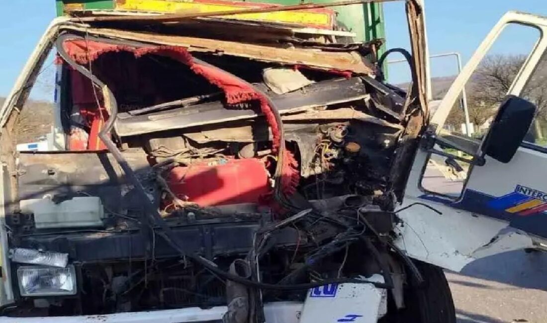 Zonguldak'ın Gökçebey ilçesinde tavuk taşıyan tır, ışık ihlali sonucu kaza