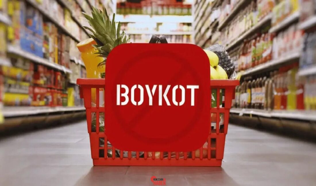 Bağımsız araştırma şirketi AGS Global  gerçekleştirdiği araştırma ile boykotların tesirlerini