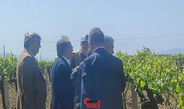 Manisa Büyükşehir Belediyesi, Mart ve Nisan aylarında meydana gelen don