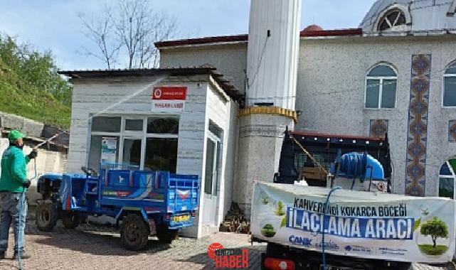 Canik Belediye Lider İbrahim Sandıkçı, kahverengi kokarca böceğine karşı ilçede