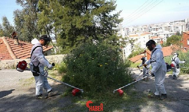 Havaların ısınmasıyla birlikte Çiğli Belediyesi, ilçe genelinde kosa çalışmalarına sürat