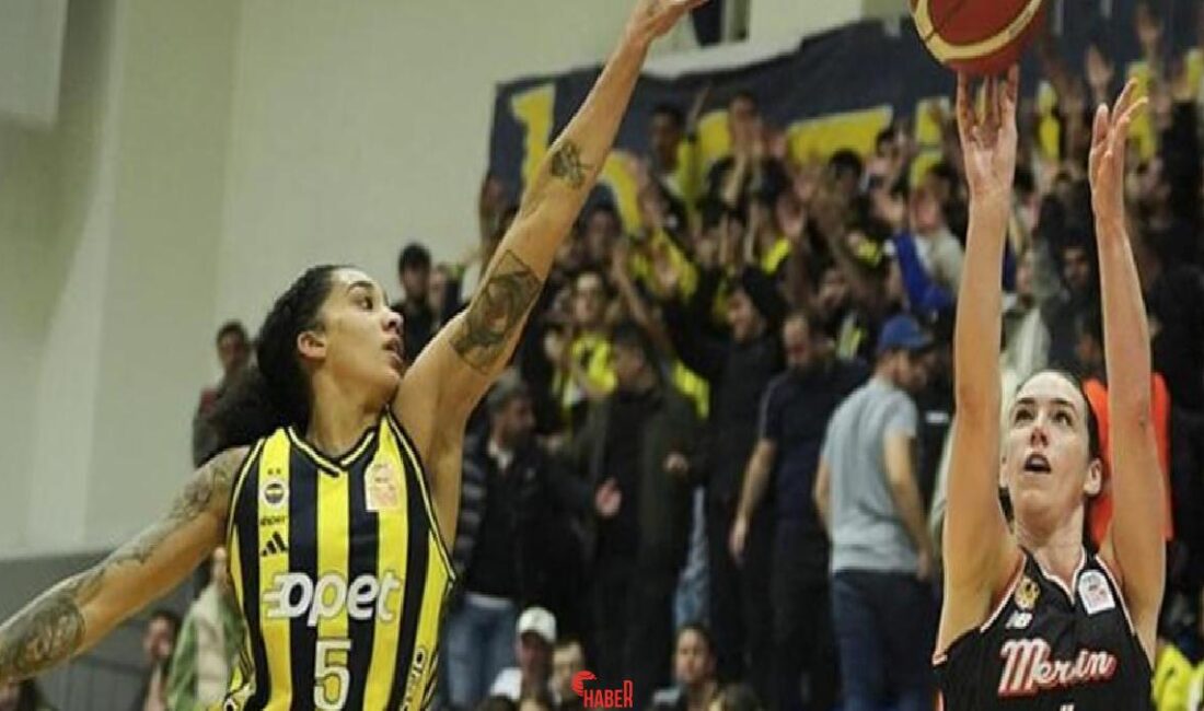 ING Bayanlar Basketbol Süper Ligi play-off final serisi üçüncü maçında