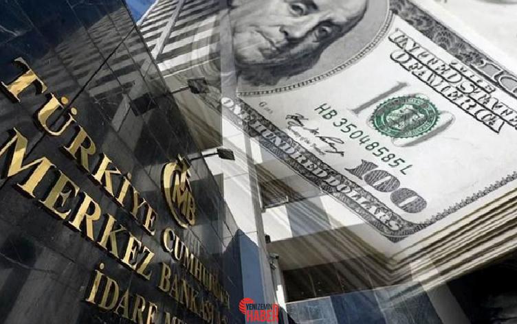 Finansal kesim dışındaki firmaların döviz açığı, 2025 yılı Şubat ayında