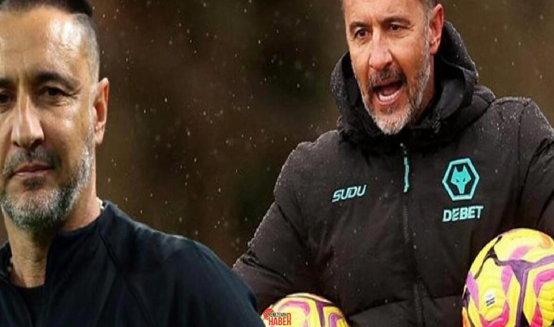 Premier Lig'de Wolverhampton'ın Vitor Perreira ile yükselişi sürüyor. Tottenham maçındaki