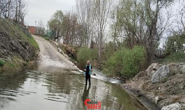Büyükşehir Belediyesi, İzmit Körfezi’nin su kalitesini artırmak ve ekosistemini eski