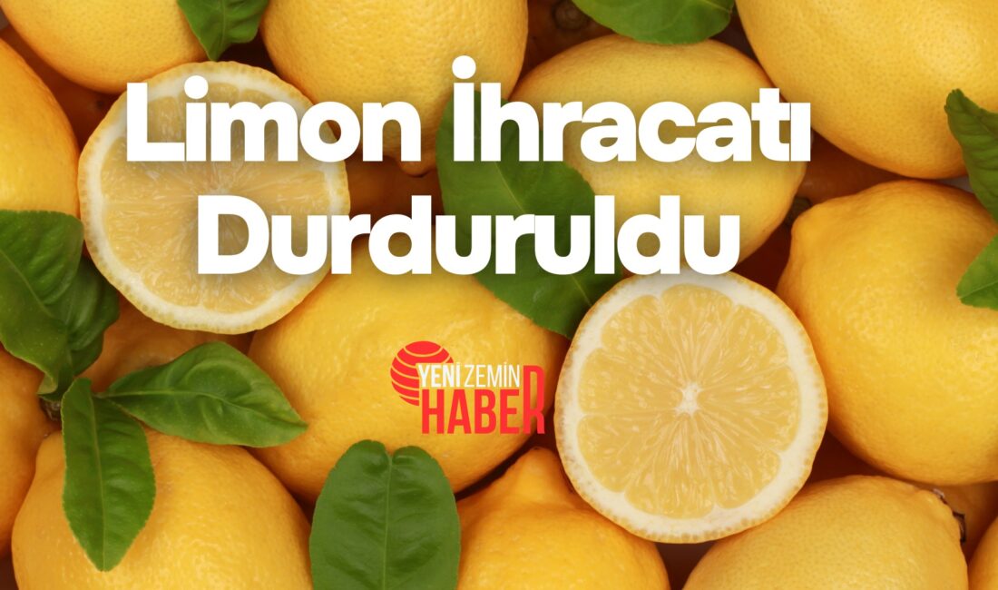 Adana, Mersin ve Hatay’daki don olaylarının ardından Ticaret ve Tarım