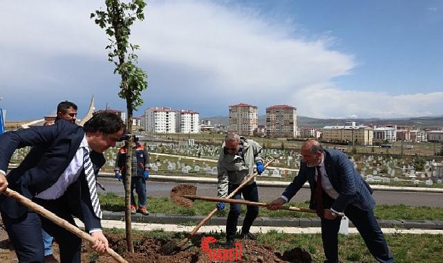 Sivas Belediyesi tarafından Üst Tekke Mezarlığı’nda bulunan bebek kabirlerine yönelik