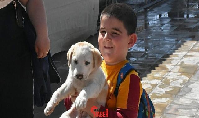 Becerikli Özgür Damar İlkokulu öğrencileri Didim Belediyesi Sokak Hayvanlarını Muhafaza