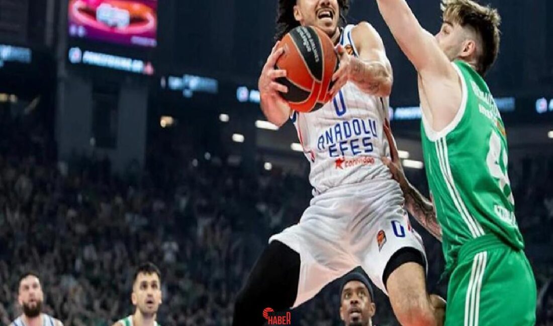 Turkish Airlines EuroLeague'deki temsilcilerimizden Anadolu Efes, play-off serisi ikinci maçında